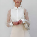 Sheer Sleeve Button-Up Shirt with Structured Mini Skirt
